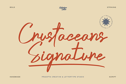 Crustaceans Signature Bold Script, a Script Font by Lettertype Studio