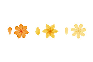 Watercolor orange yellow flowers and, an Illustration by okskukuruza