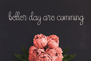 Her Garden - Handwritten, a Script Font by Mojibam (Thumbnail 2 of 7)