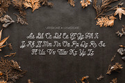 Hellofolks - Monoline Script Font, a Script Font by ikiiko (Thumbnail 5 of 7)