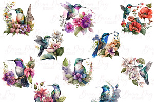 Fairy Hummingbird Floral Clipart