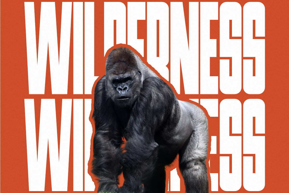 Primate - Condensed Sans Serif Font, a Sans Serif Font by Pian45 Studio (Photo 4 of 8)