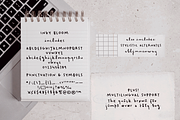Inky Bloom Handwritten Font, a Handwritten Font by Ana's Fonts (Thumbnail 2 of 8)