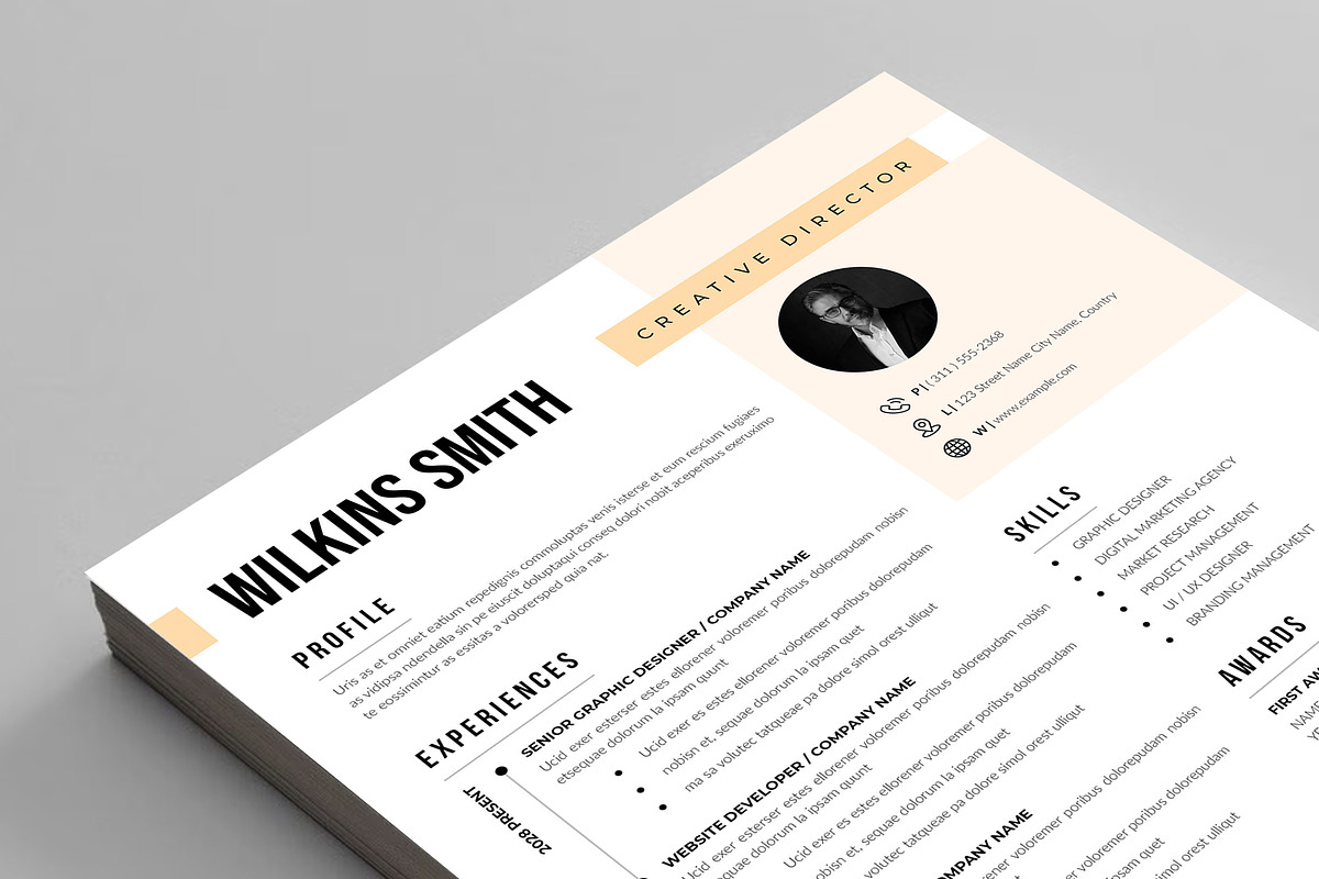 Professional Resume Template, a Resume Template by NorthPeak (Photo 3 of 5)