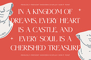 Midlife Cricise Modern Serif Font, a Serif Font by timelesstype.co (Thumbnail 5 of 20)