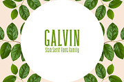 Galvin Slab Serif Font Family Pack, a Handwritten Font by Creativetacos (Thumbnail 1 of 5)