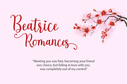 The Beautiful Night Script & Extras, a Script Font by Attract Studio (Thumbnail 3 of 10)