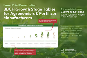 BBCH Growth Stages Cucurbits