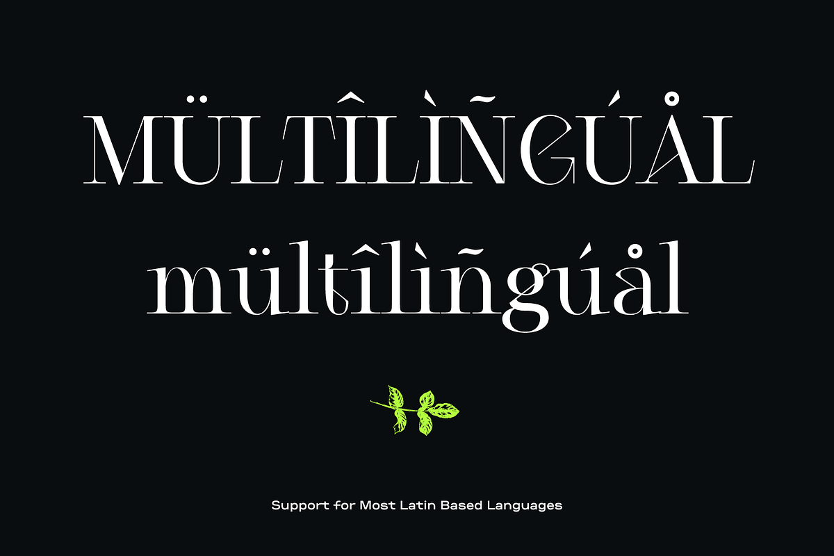 Cesso: Ligature Serif, a Serif Font by That That Creative (Photo 14 of 17)