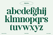 Amerta Elegant Serif Font, a Serif Font by GRVS Studio (Thumbnail 3 of 7)