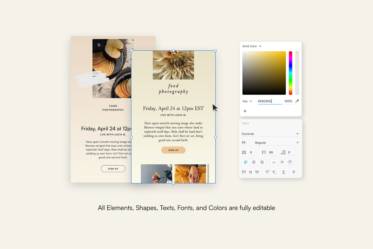 Thyme Newsletter Templates - Canva, an Email Template by Sparrow & Snow (Photo 5 of 20)