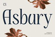 CS Asbury – Classic Font, a Serif Font by Craft Supply Co. (Thumbnail 1 of 8)