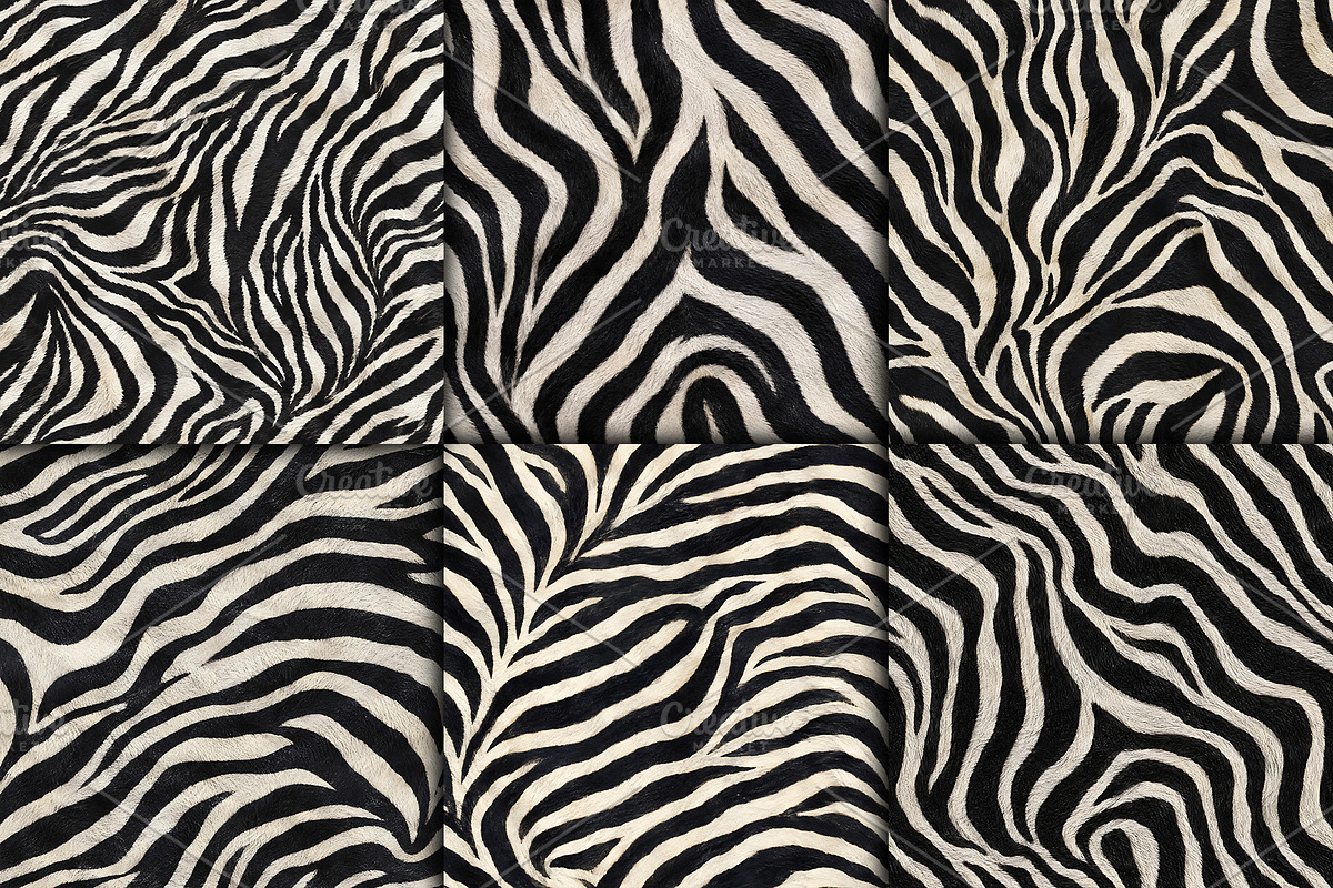 Realistic Black White Zebra Texture, a Pattern Graphic by Artonix (Photo 3 of 4)