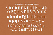 Reach Delight - Modern Retro Serif, a Serif Font by Shakira Studio (Thumbnail 2 of 10)