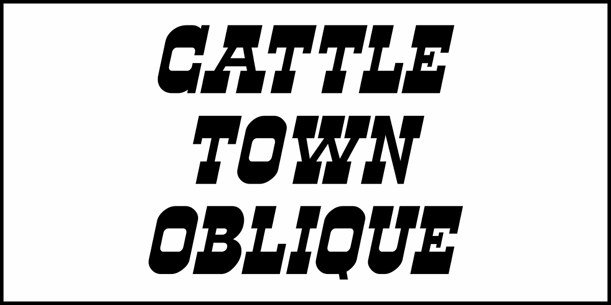 Cattle Town JNL, a Font by Jeff Levine Fonts (Photo 4 of 5)