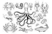 Seafood, an Animal Illustration by VitalinaGofman (Thumbnail 2 of 7)