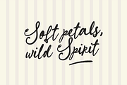 Sparkling Moment - Script Font, a Handwritten Font by agnyhasyastudio (Thumbnail 3 of 18)