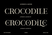 Choper Display, a Serif Font by Rvq Type Foundry (Thumbnail 7 of 7)