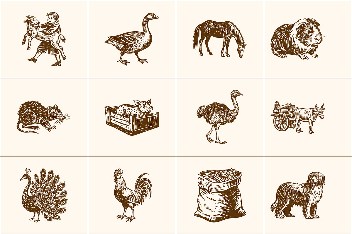 Vintage Farm Animals Illustration, an Animal Illustration by Prosymbols (Photo 8 of 8)