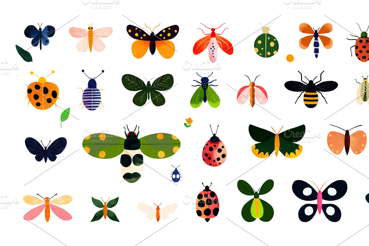 A childish set of colorful bugs, an Animal Illustration by Sybillla