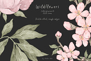 Wildflowers. Hand drawn pencil flora, a Decorative Illustration by Kreker Kate (Thumbnail 9 of 12)