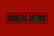 Kaneda Gothic, a Sans Serif Font by Dharma Type (Thumbnail 1 of 10)