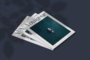 Paradizo - Elegant Serif Font, a Serif Font by Surplus Type Co (Thumbnail 4 of 8)