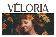 Eloran - Luxury Font, a Serif Font by Snape Design Studio (Thumbnail 6 of 12)