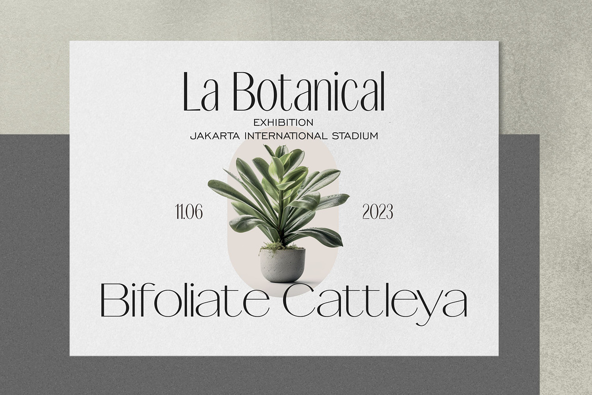 Signora Typeface, a Sans Serif Font by Glowtype (Photo 5 of 12)