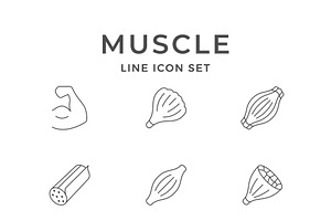 Set line icons of muscle, an Outline Icon by motorama