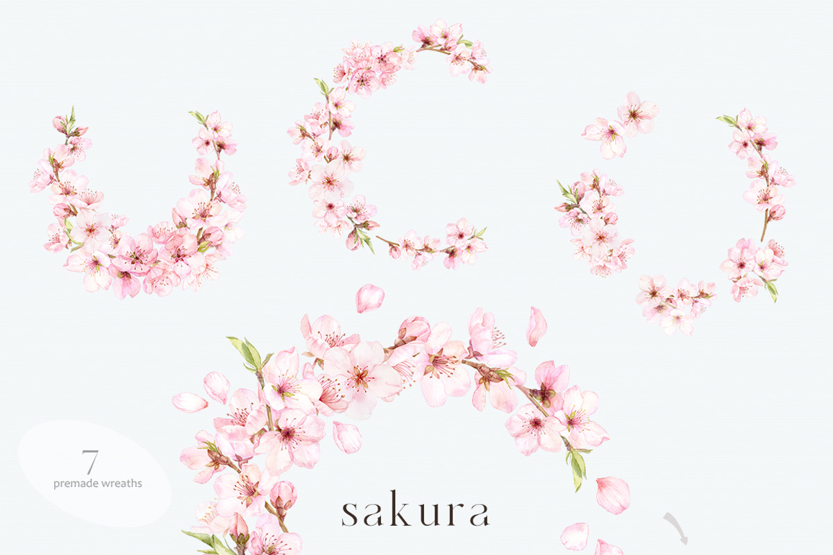 Blossoms Sakura Collection, a Decorative Illustration by ReachDreams (Photo 5 of 7)