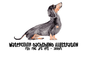 Wiener Dog Illustration