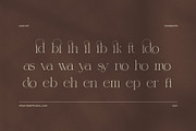 Menils Elegant Serif, a Serif Font by Elegant Font (Thumbnail 8 of 8)
