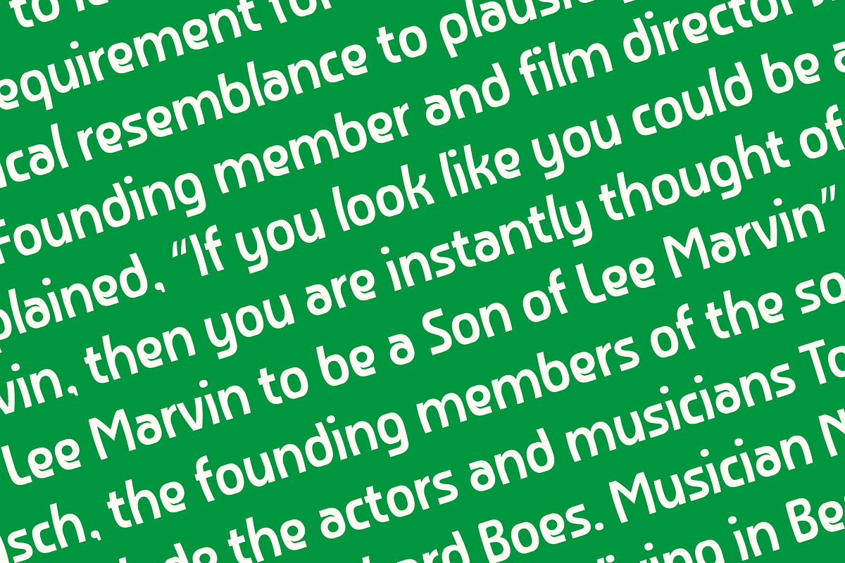 Bonton Display Sans Serif, a Sans Serif Font by PeanutButter Type (Photo 5 of 5)