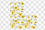 Yellow Flower Brush Pattern, an Illustration by Daily.Designs (Thumbnail 3 of 6)