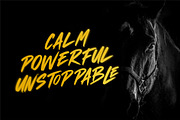 Magnum Ragnok - Urban Brush, a Handwritten Font by ErgibiStudio (Thumbnail 6 of 10)