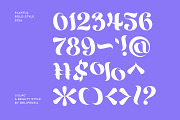 Lillac - A Elegant Beauty Typeface, a Serif Font by delipensil (Thumbnail 8 of 10)