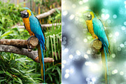 Photography Boken Maker, an Action Add-On by MRI STUDIO (Thumbnail 11 of 14)