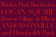 Volterra Family, a Serif Font by Blank Is The New Black (Thumbnail 2 of 11)