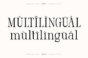 Qelenta - Modern Serif Font, a Serif Font by AmorfaType (Thumbnail 8 of 10)