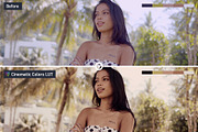 Cinematic Colors Video LUTs, a Preset Add-On by CineMart (Thumbnail 6 of 7)