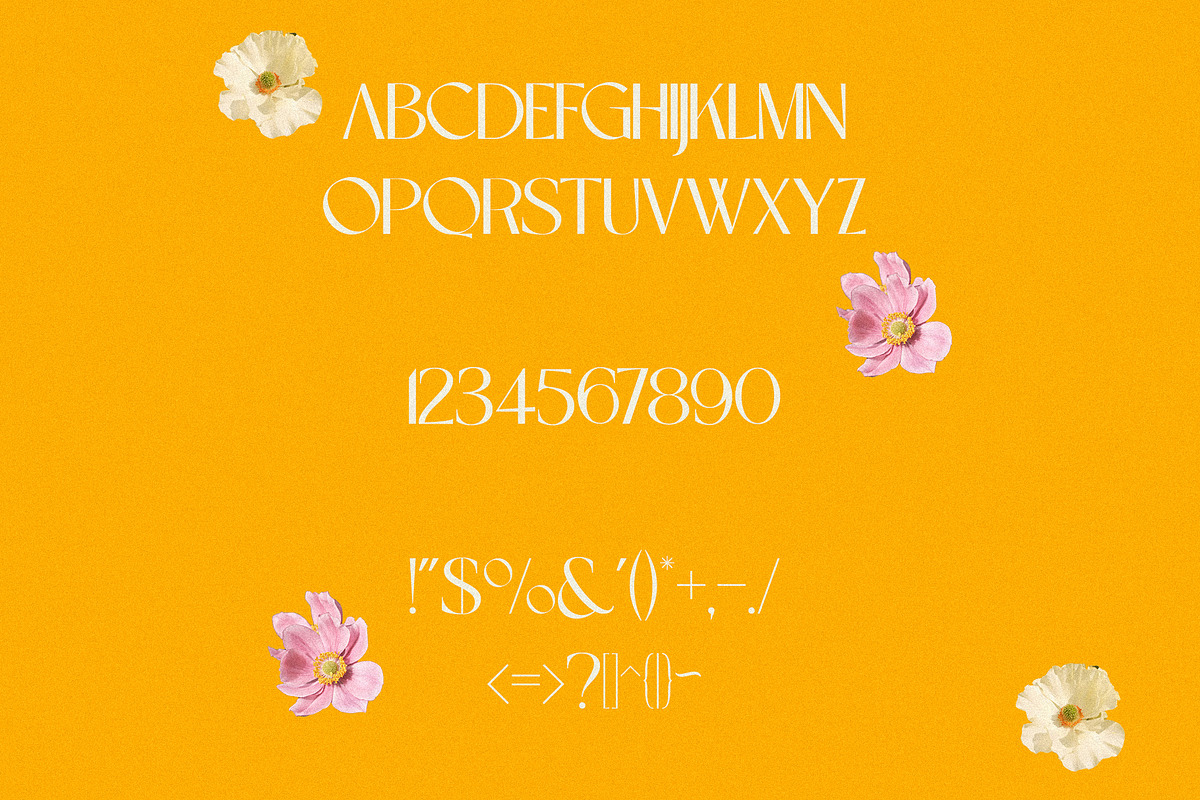 Anemone - Elegant & Modern Sans, a Sans Serif Font by Mikhail Kitsune (Photo 7 of 8)