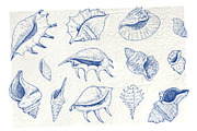Coral gardens. Patterns collection, a Pattern Graphic by Robusta (Thumbnail 16 of 16)