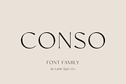Conso | Font Family, a Sans Serif Font by Larin Type Co. (Thumbnail 1 of 15)