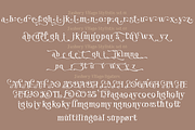 Fashory Vilago Font, a Serif Font by TypeClassHeroes (Thumbnail 9 of 10)