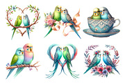 Watercolor Parakeet Couple Clipart, an Illustration by Daily.Designs (Thumbnail 5 of 5)