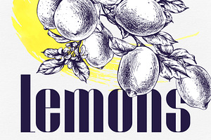 Vintage Lemon Engraving Collection