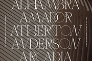 THE FRENCH KISS ROYAL TYPEFACE, a Serif Font by SilverStag Type Foundry (Thumbnail 12 of 23)