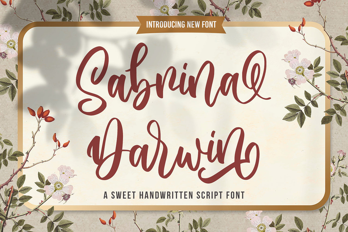 Sabrina Darwin Sweet Script Font, a Script Font by Kotak Kuning Studio (Photo 1 of 9)