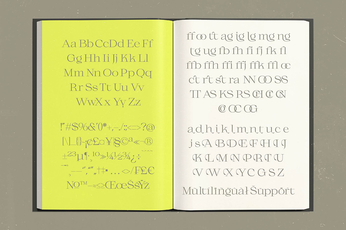 Gafloc Thin Serif Display, a Serif Font by timelesstype.co (Photo 14 of 15)
